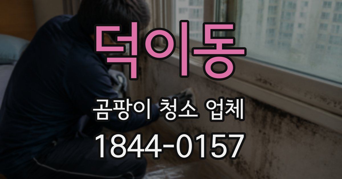 덕이동 곰팡이 청소 업체