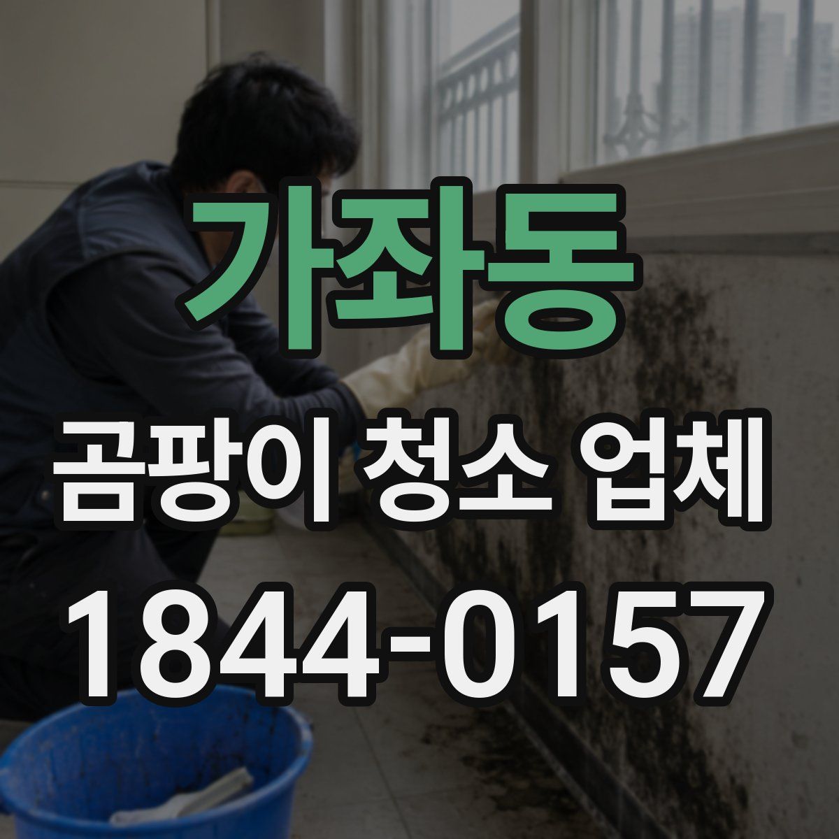 가좌동 곰팡이 청소 업체