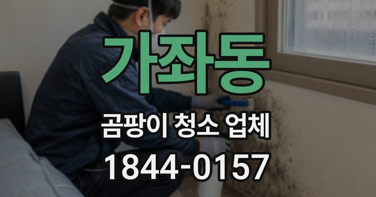가좌동 곰팡이 청소 업체