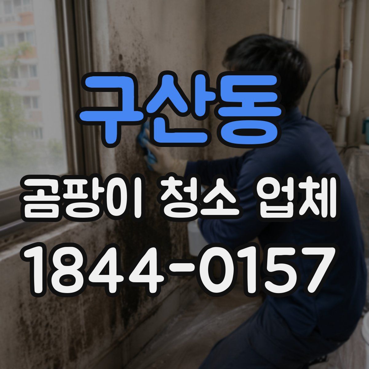 구산동 곰팡이 청소 업체