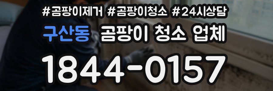 구산동 곰팡이 청소 업체