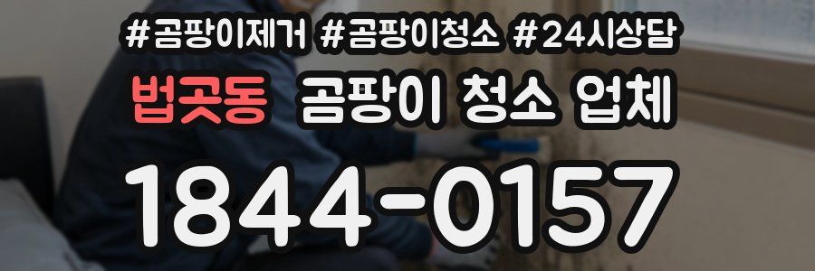 법곳동 곰팡이 청소 업체