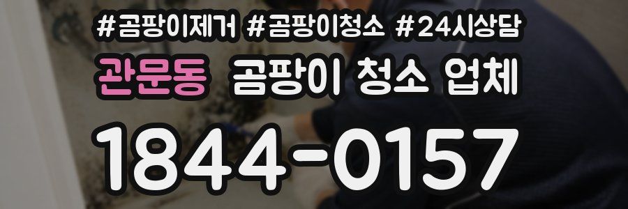 관문동 곰팡이 청소 업체