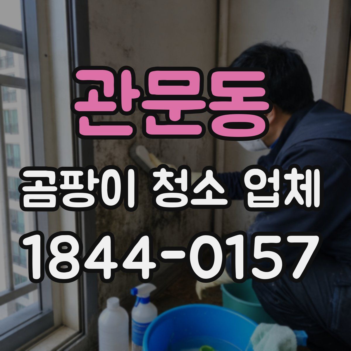 관문동 곰팡이 청소 업체