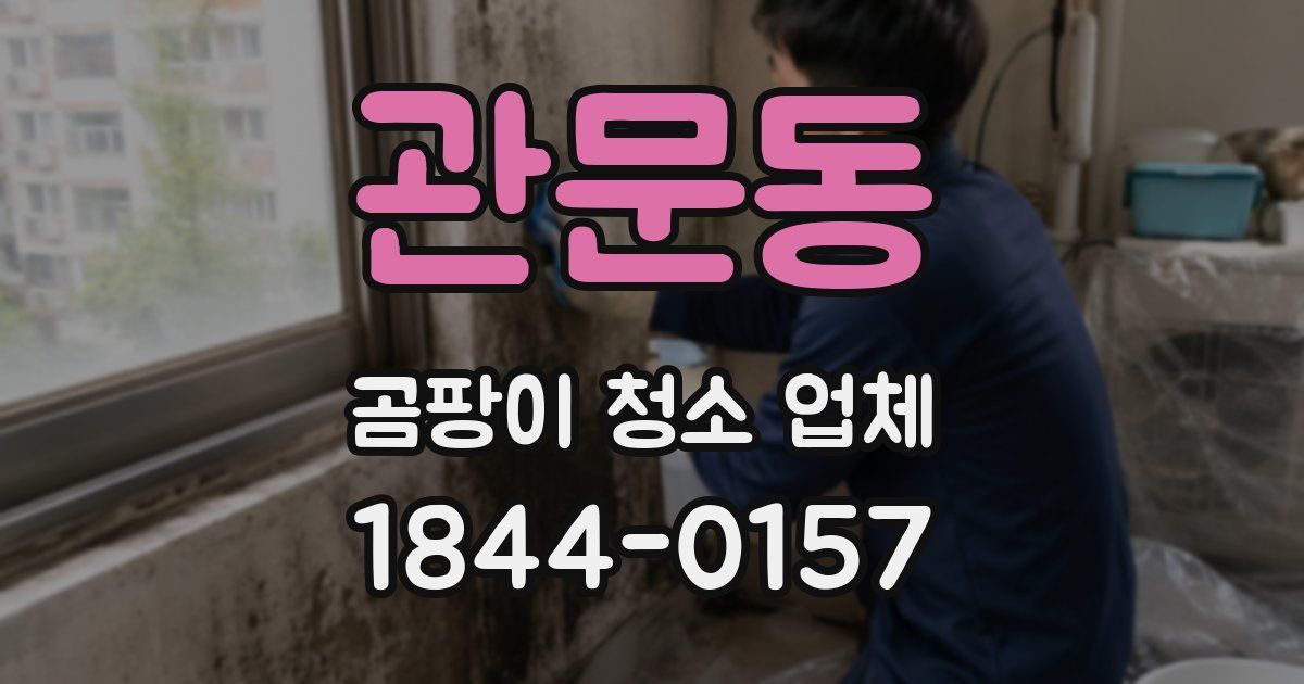 관문동 곰팡이 청소 업체