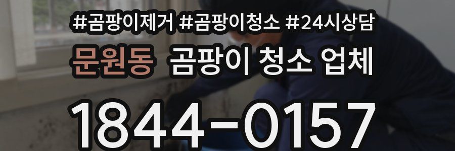 문원동 곰팡이 청소 업체
