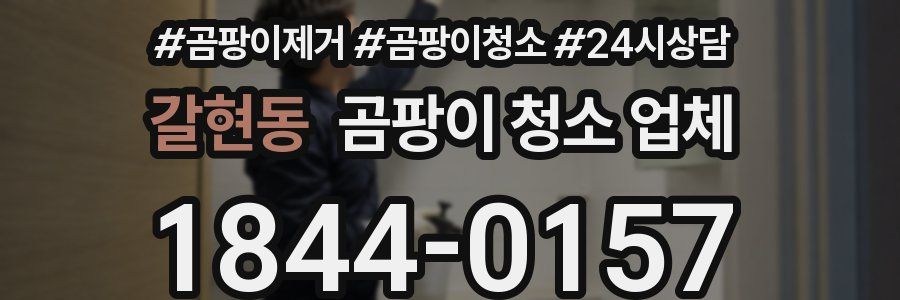 갈현동 곰팡이 청소 업체