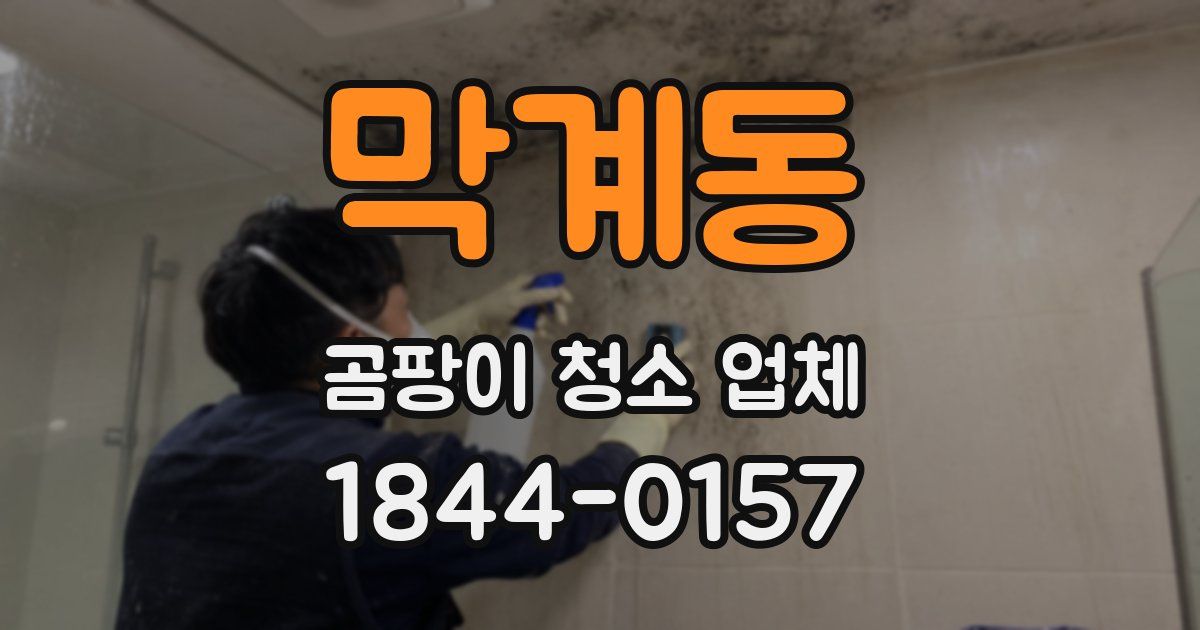 막계동 곰팡이 청소 업체