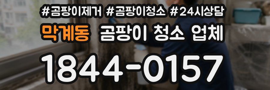 막계동 곰팡이 청소 업체