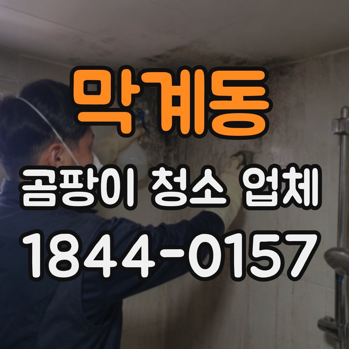 막계동 곰팡이 청소 업체