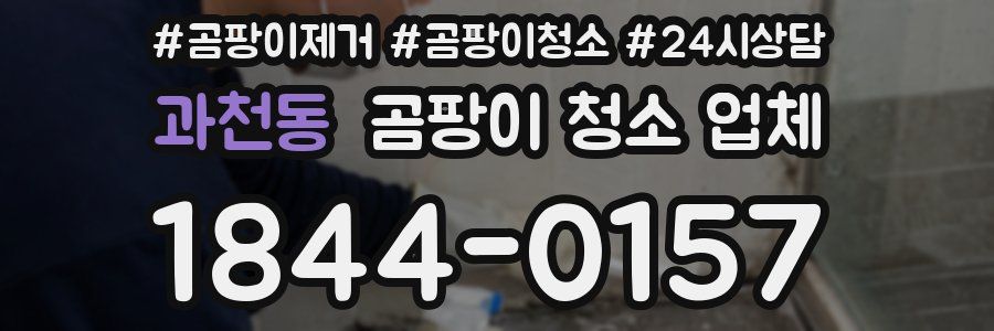 과천동 곰팡이 청소 업체