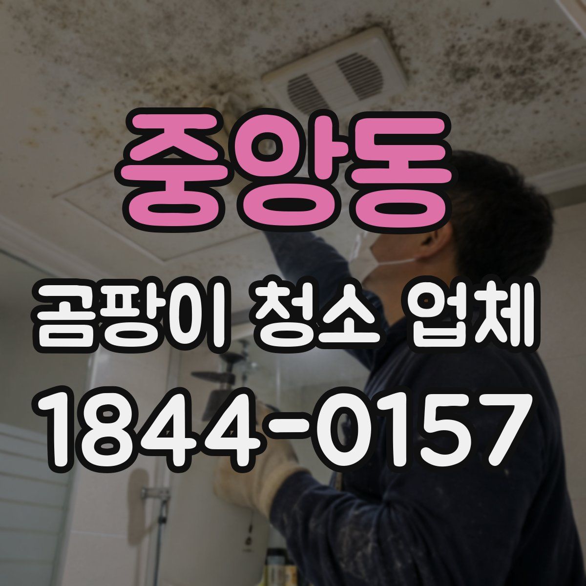 중앙동 곰팡이 청소 업체