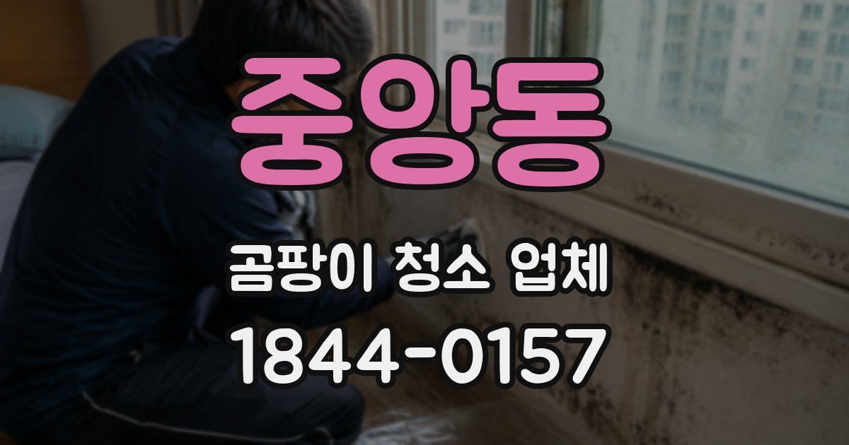 중앙동 곰팡이 청소 업체