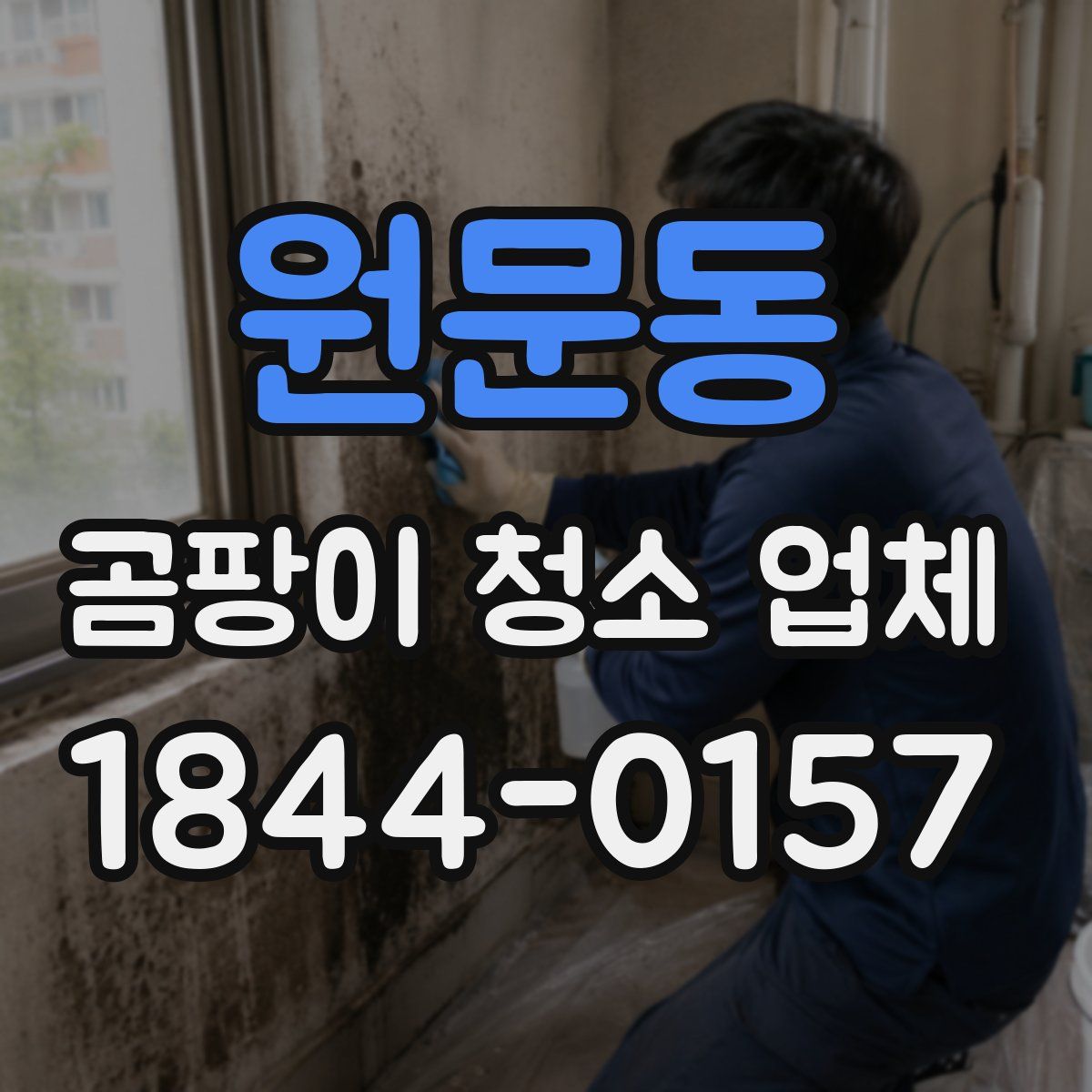 원문동 곰팡이 청소 업체