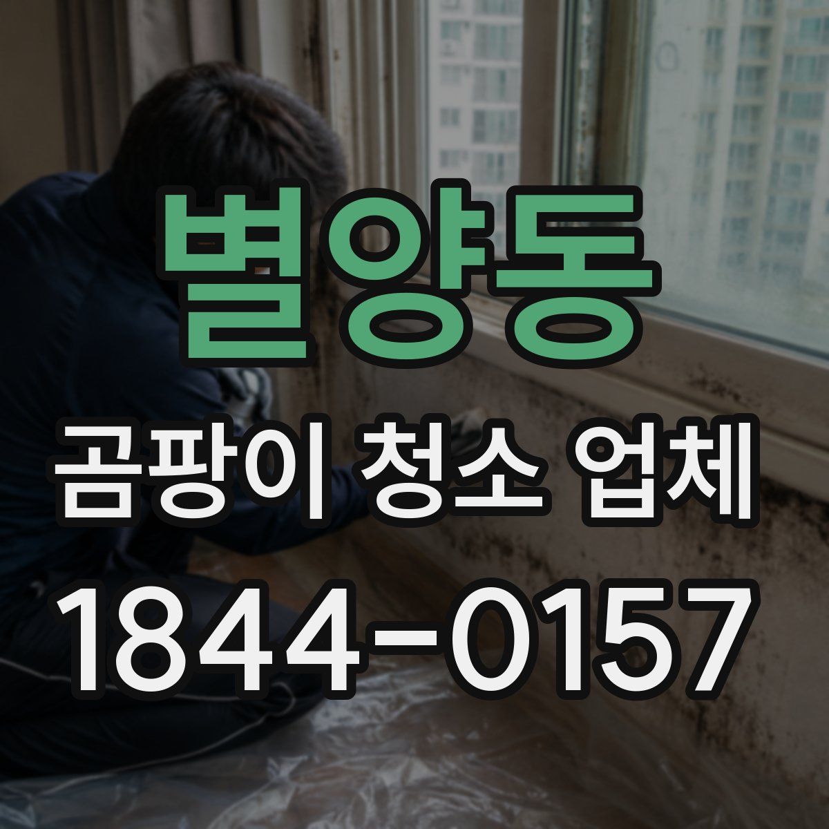 별양동 곰팡이 청소 업체