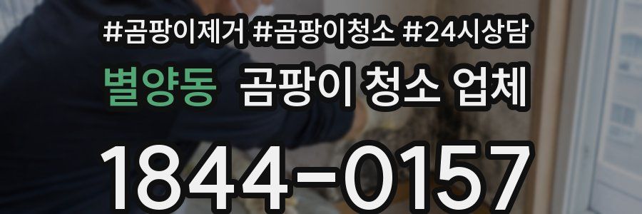 별양동 곰팡이 청소 업체