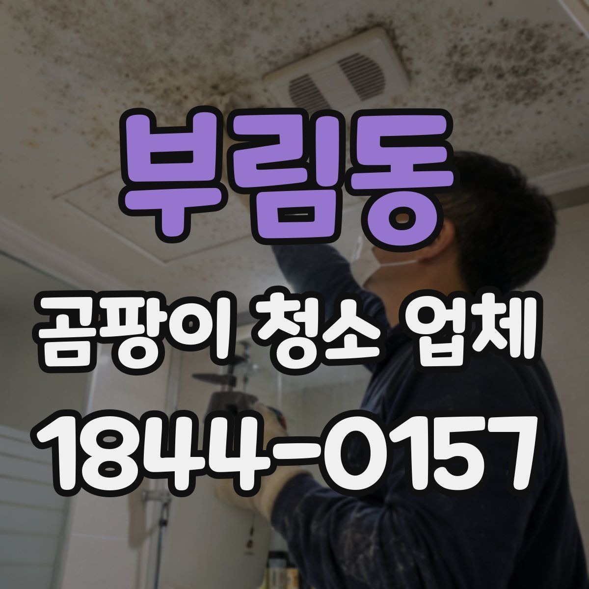 부림동 곰팡이 청소 업체
