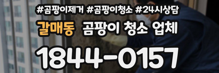 갈매동 곰팡이 청소 업체