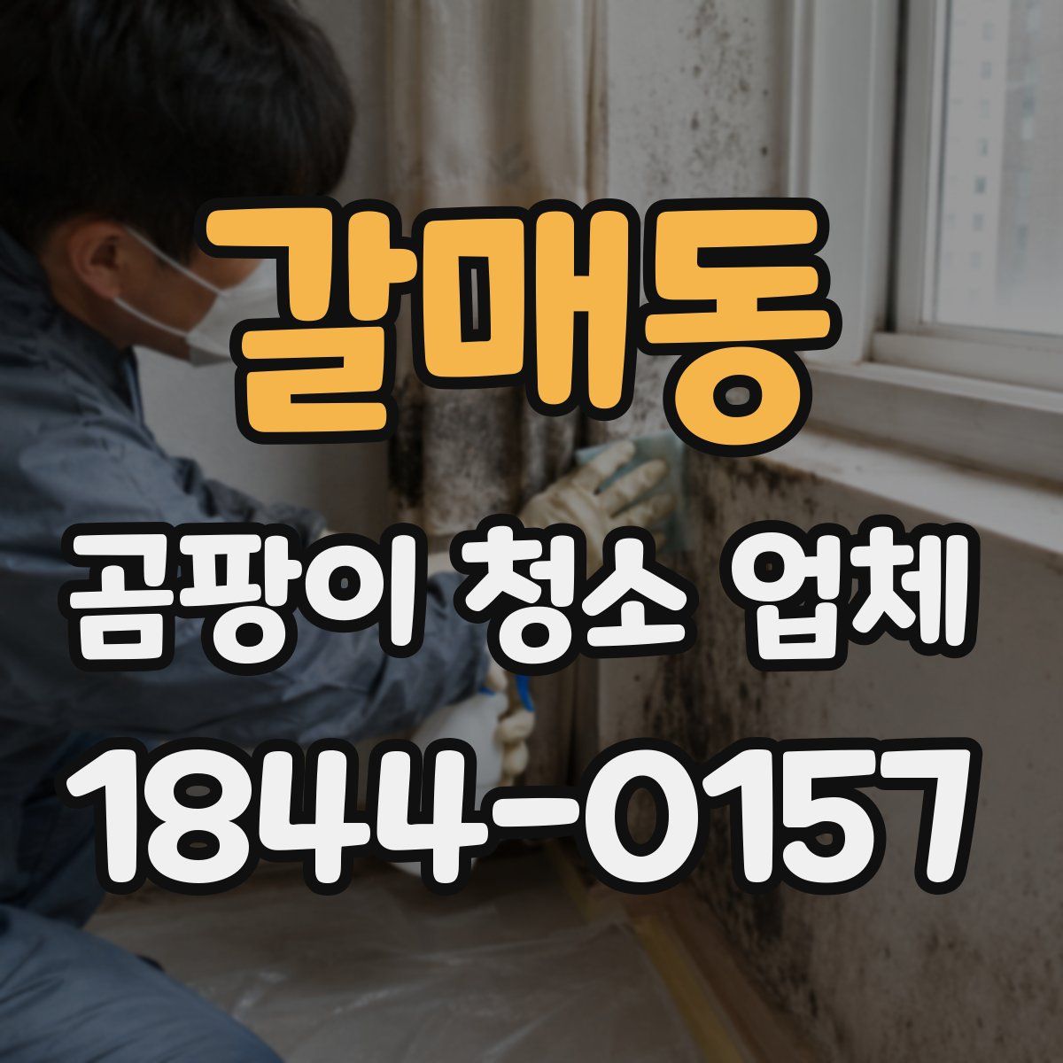 갈매동 곰팡이 청소 업체