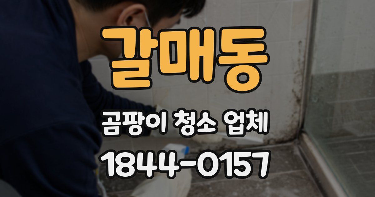 갈매동 곰팡이 청소 업체