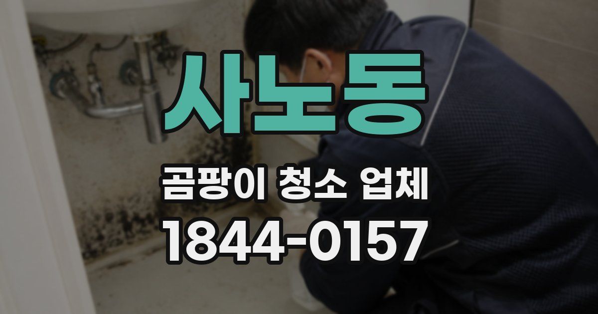 사노동 곰팡이 청소 업체
