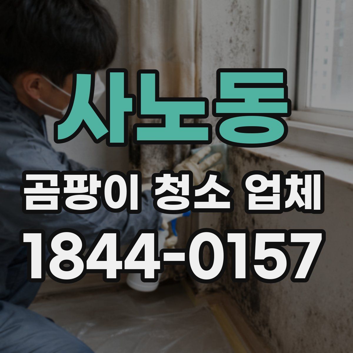 사노동 곰팡이 청소 업체