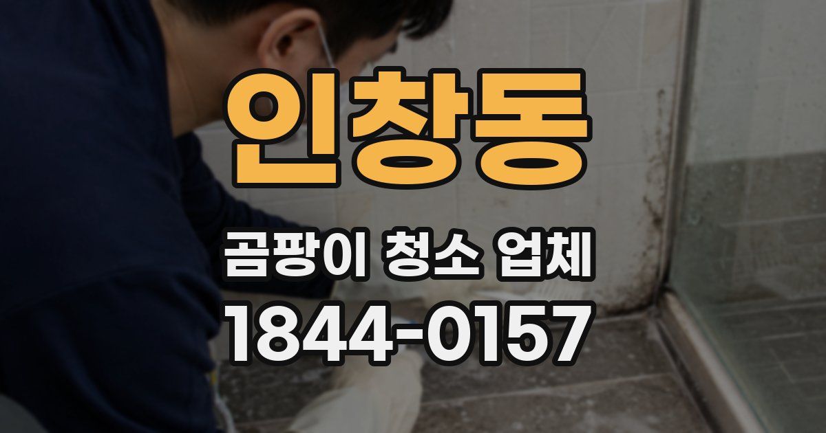 인창동 곰팡이 청소 업체