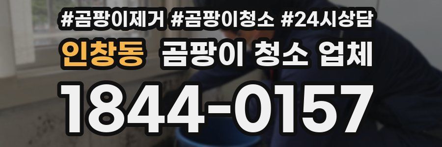 인창동 곰팡이 청소 업체