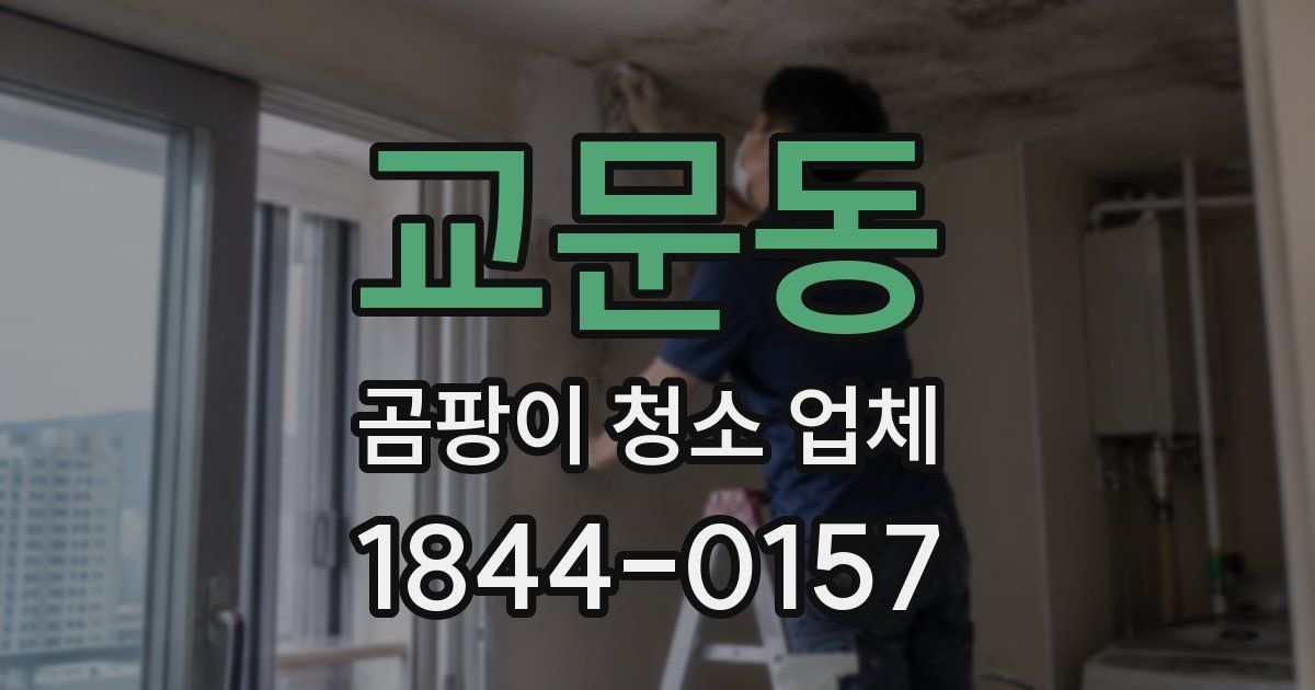 교문동 곰팡이 청소 업체