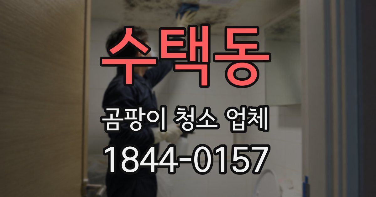 수택동 곰팡이 청소 업체
