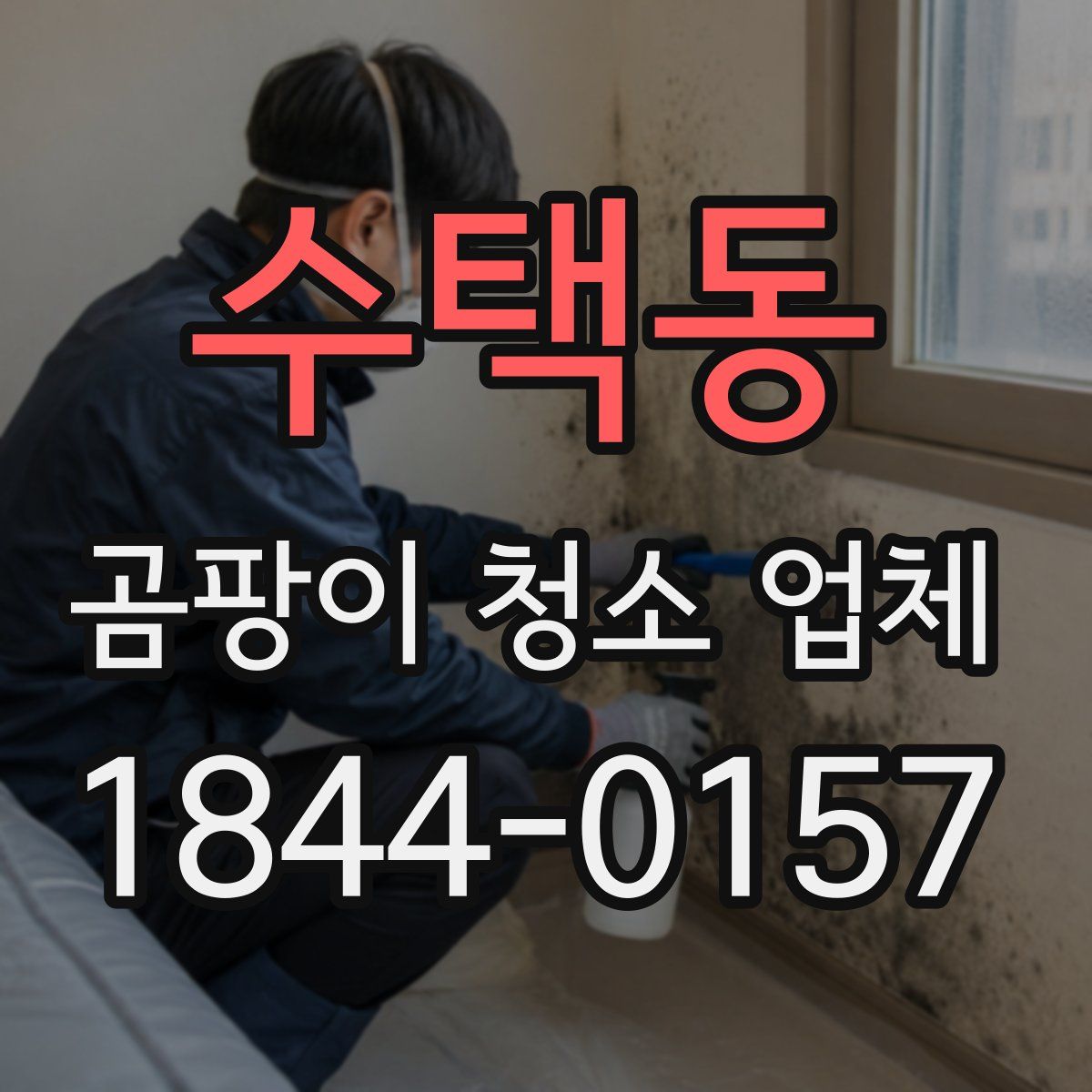수택동 곰팡이 청소 업체