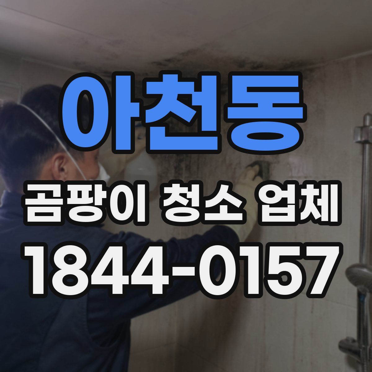 아천동 곰팡이 청소 업체