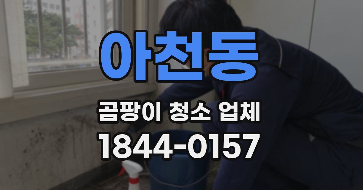 아천동 곰팡이 청소 업체