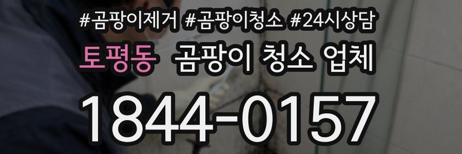 토평동 곰팡이 청소 업체