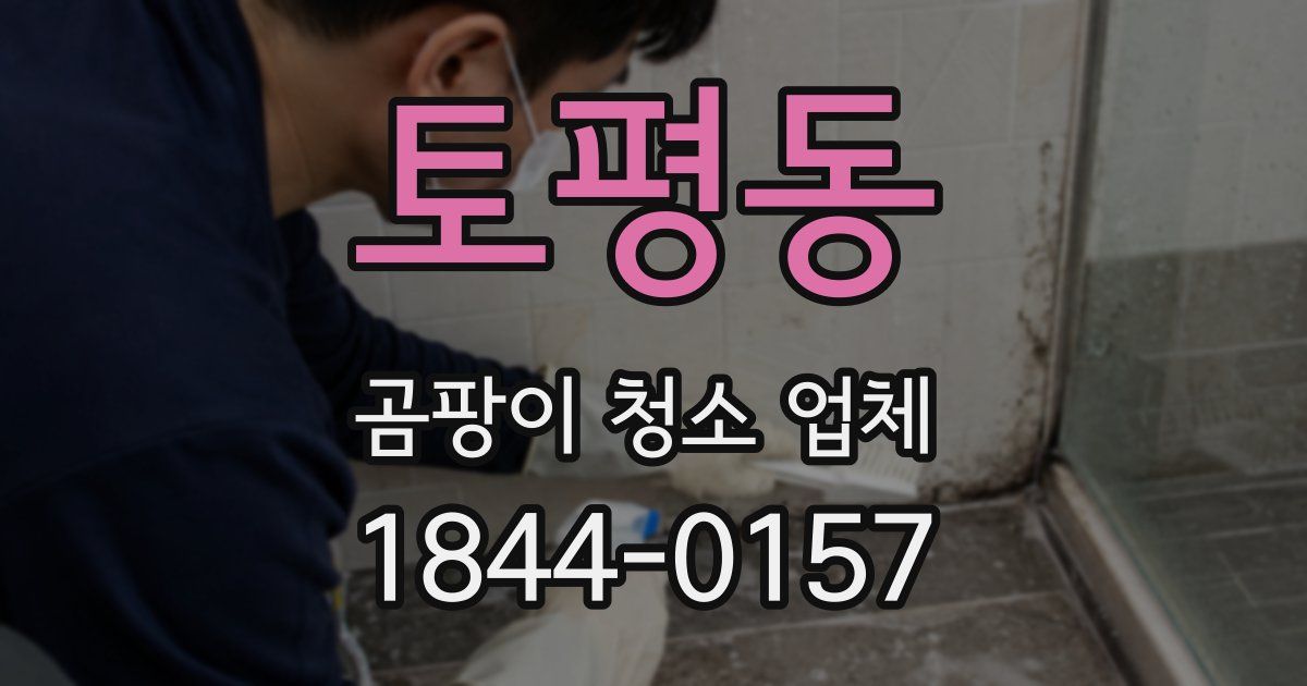 토평동 곰팡이 청소 업체