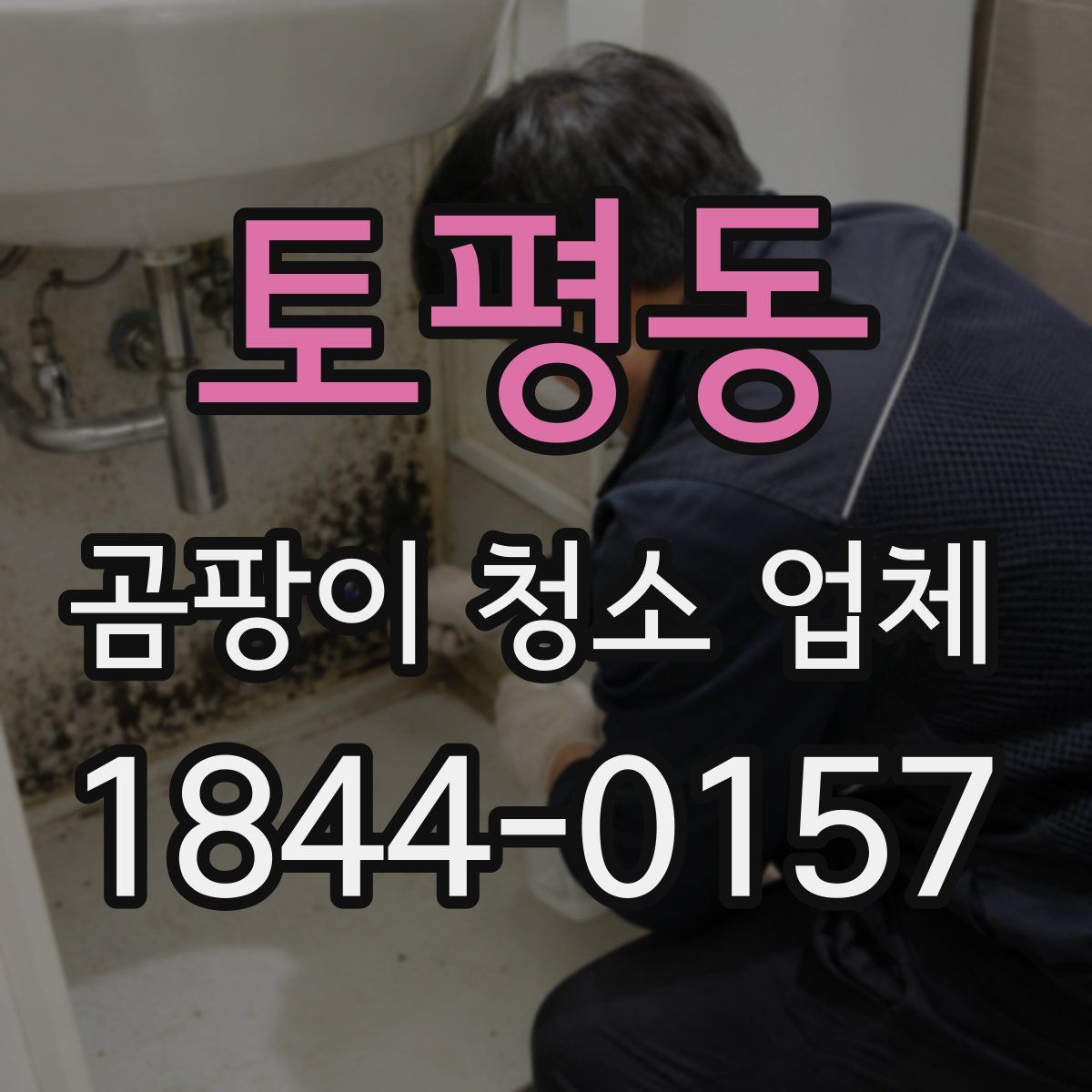 토평동 곰팡이 청소 업체