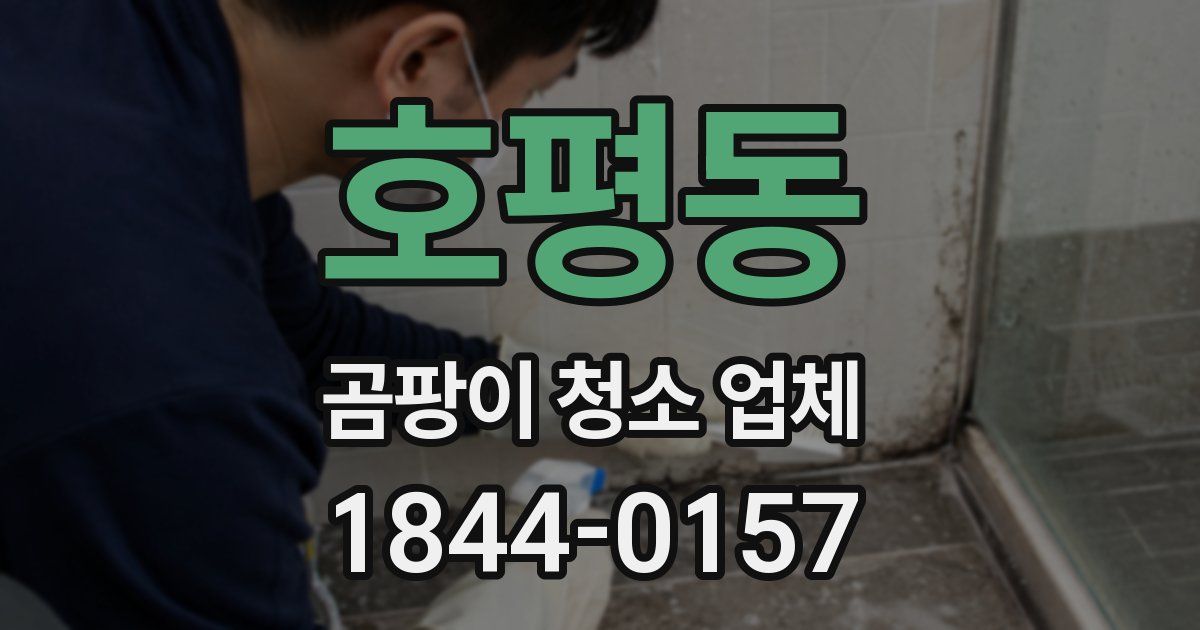 호평동 곰팡이 청소 업체