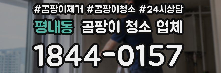 평내동 곰팡이 청소 업체