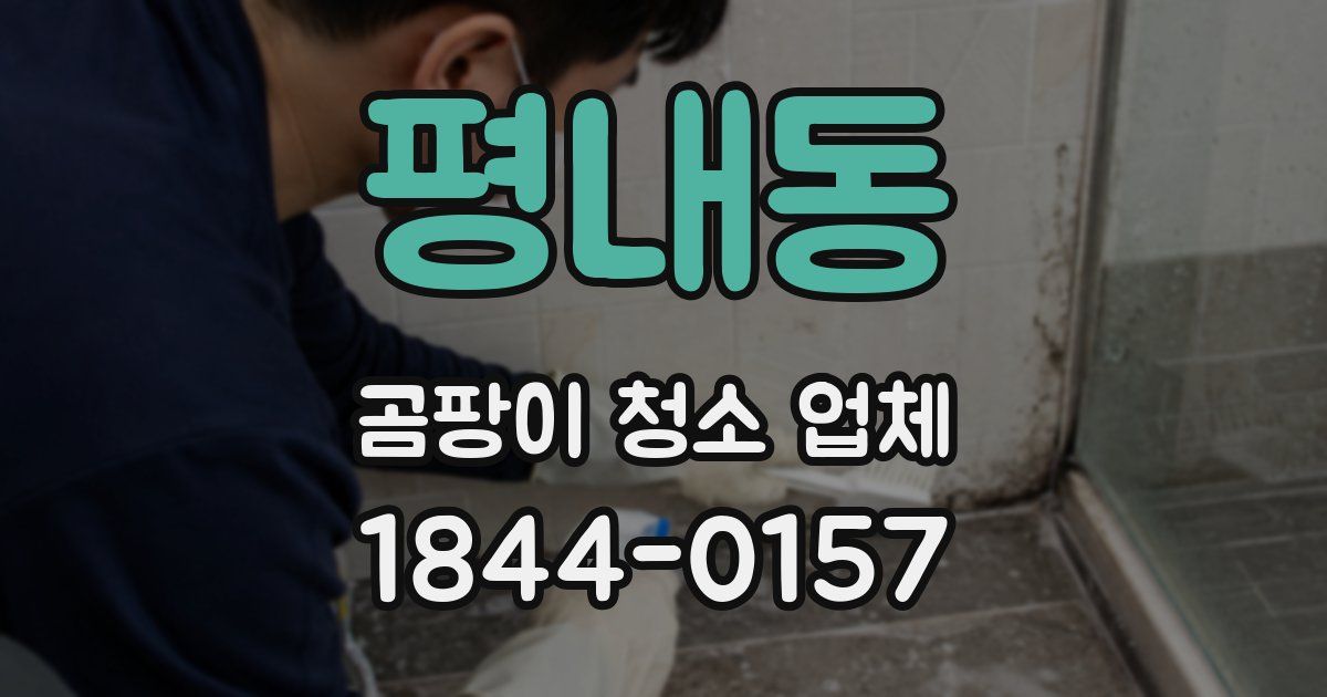 평내동 곰팡이 청소 업체