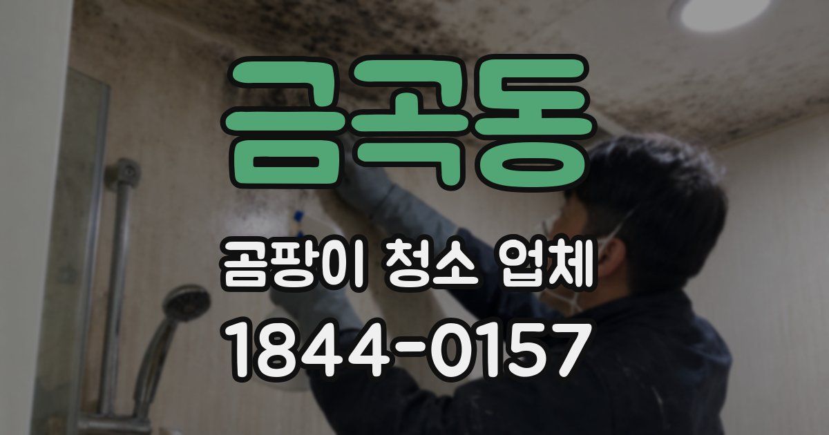 금곡동 곰팡이 청소 업체