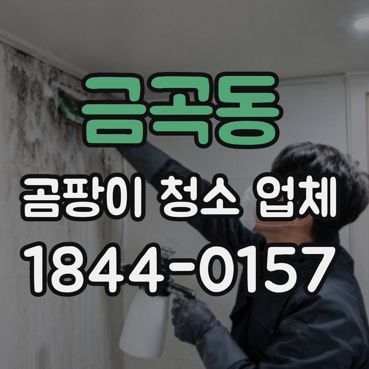 금곡동 곰팡이 청소 업체