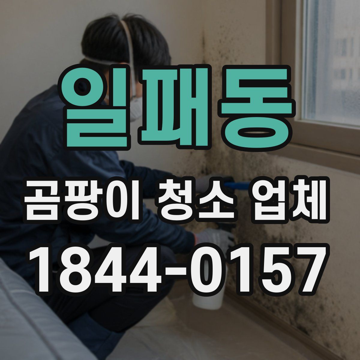 일패동 곰팡이 청소 업체