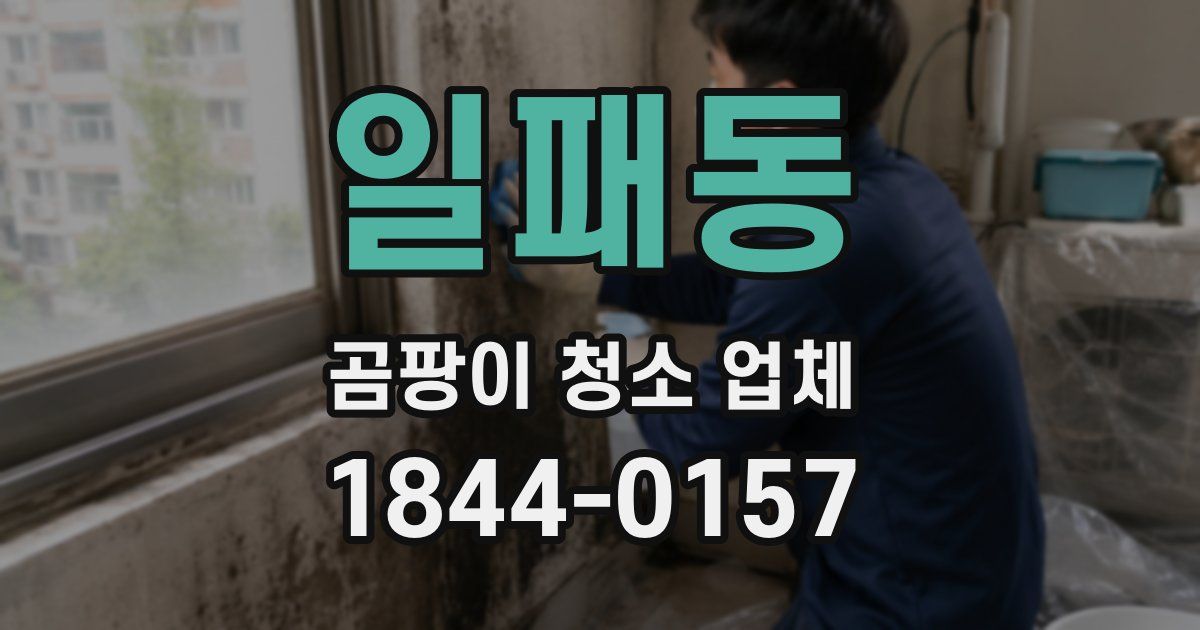 일패동 곰팡이 청소 업체