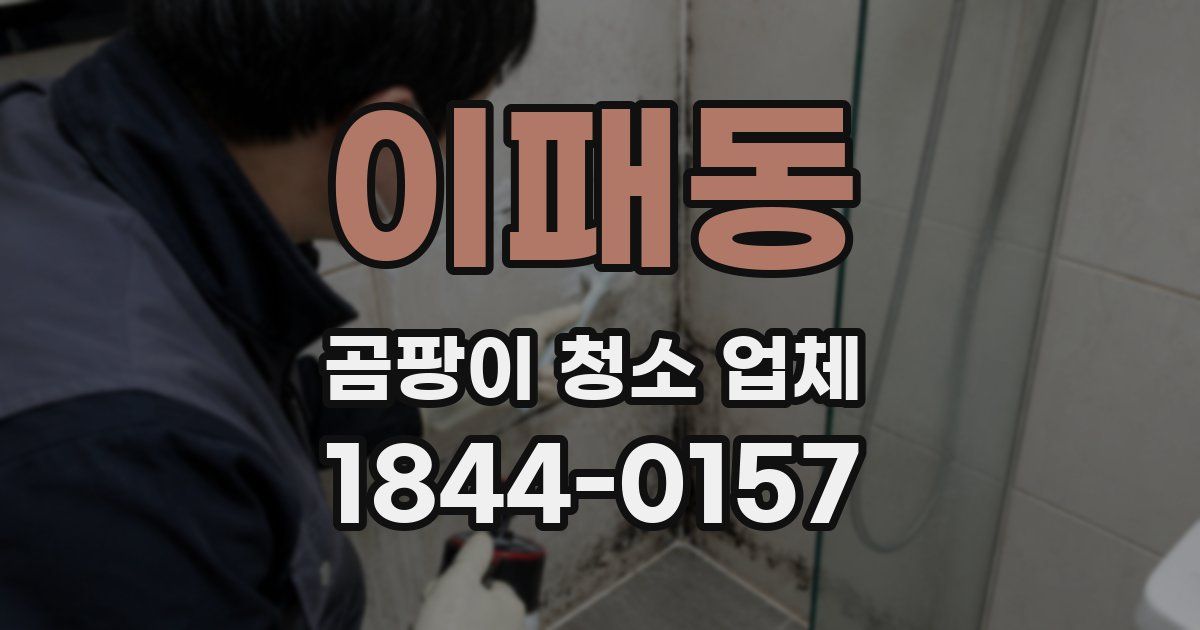 이패동 곰팡이 청소 업체