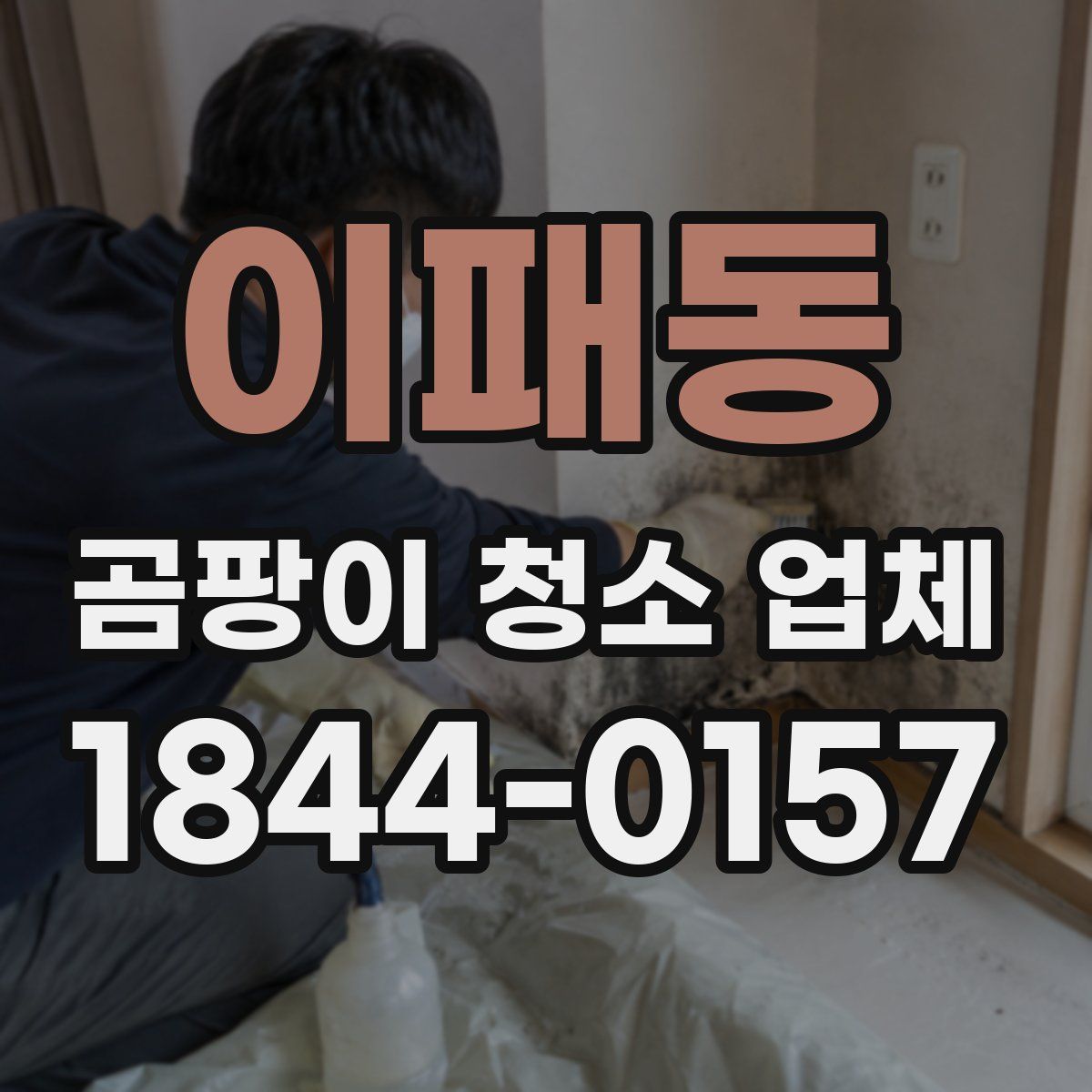 이패동 곰팡이 청소 업체