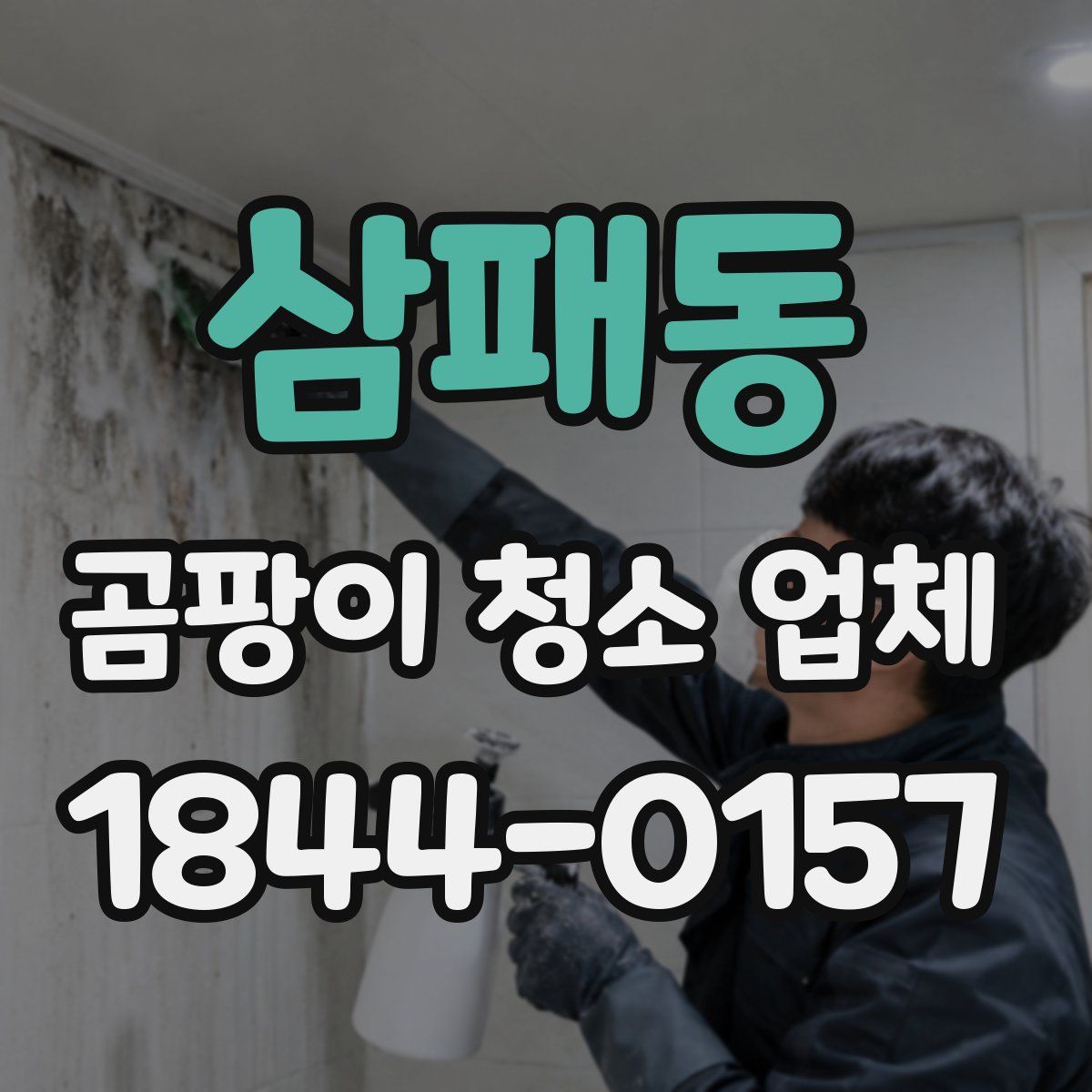 삼패동 곰팡이 청소 업체