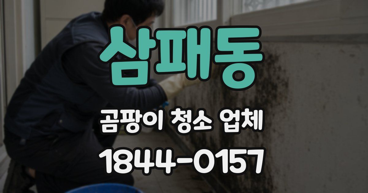 삼패동 곰팡이 청소 업체