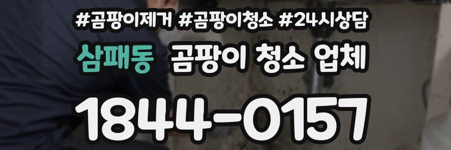 삼패동 곰팡이 청소 업체