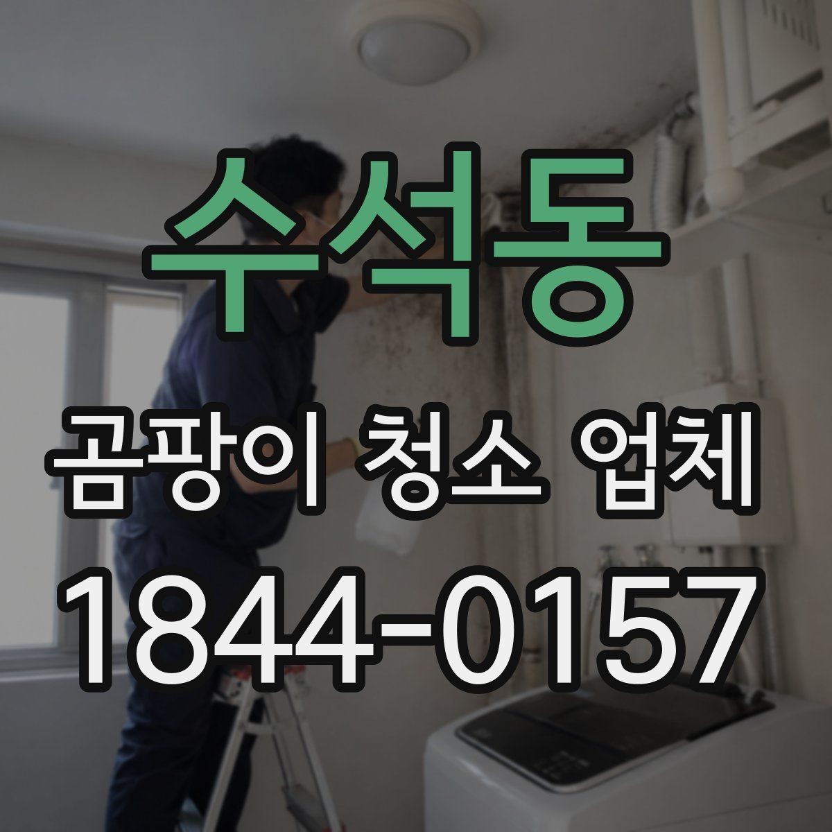 수석동 곰팡이 청소 업체 반려동물 알레르기가 걱정될 때 확인할 기준