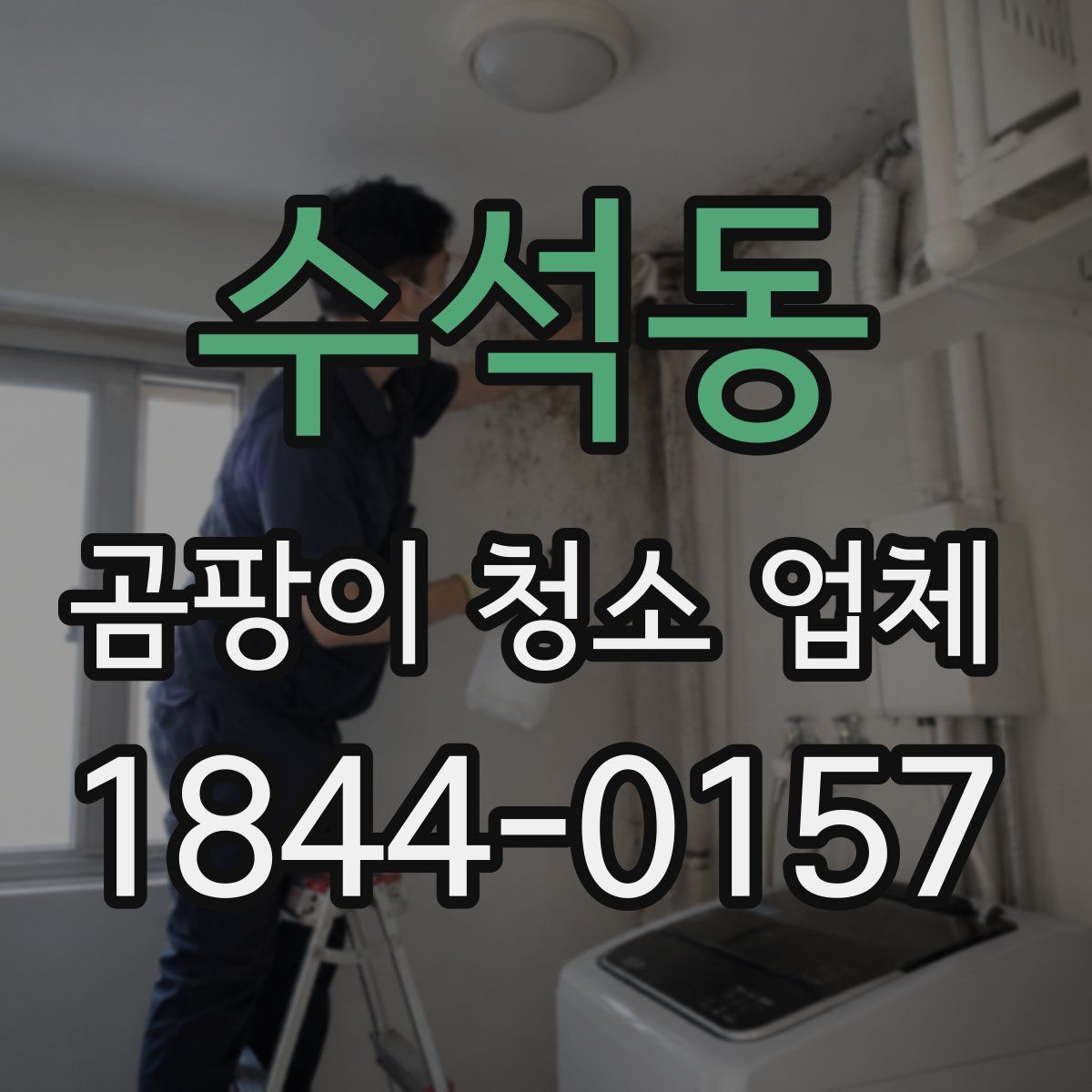 수석동 곰팡이 청소 업체